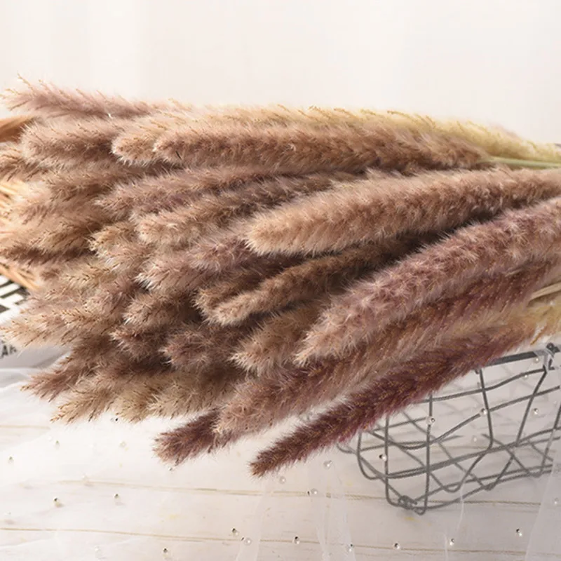 15Pcs 45cm Pampas Grass Bouquet New Year Holiday Wedding Party Home Decor Decoration Plant Pampas Decoracion 
15Pcs 45cm Pampas Grass Bouquet New Year Holiday Wedding Party Home Decor Decoration Plant Pampas Decoracion
