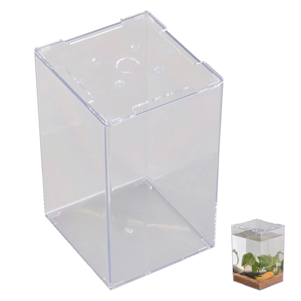 Fish Accessories Betta Tank Tortoise Aquarium Habitat Acrylic Beta Accessory Small Fishbowl Aquariums
Fish Accessories Betta Tank Tortoise Aquarium Habitat Acrylic Beta Accessory Small Fishbowl Aquariums