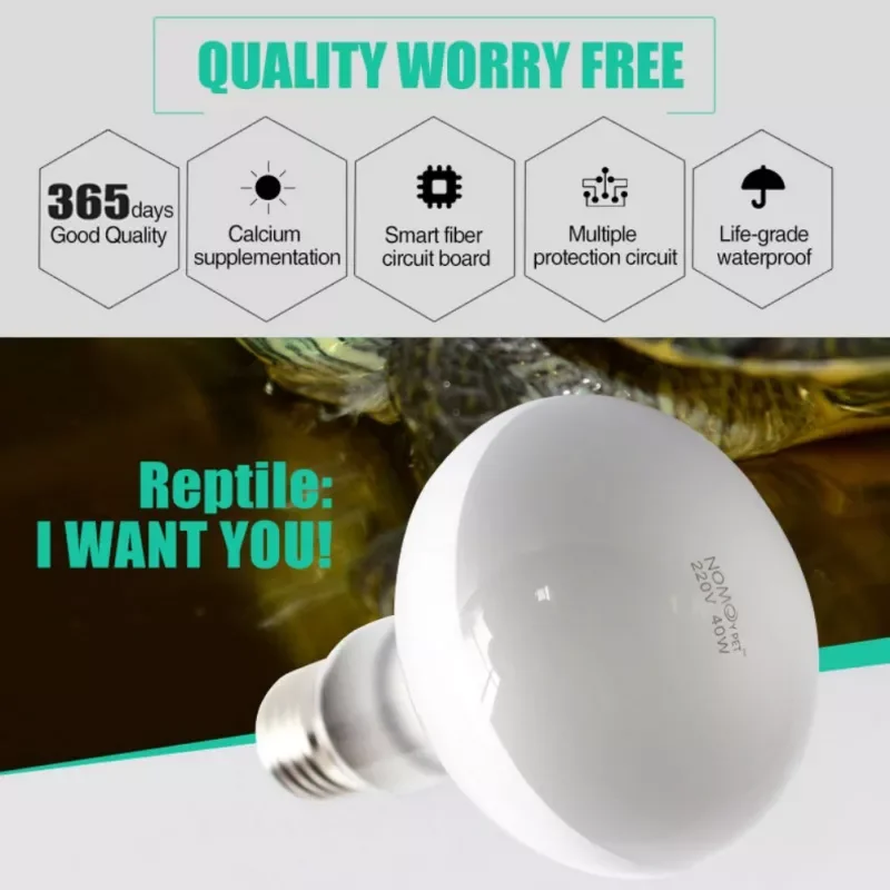 2022JMT UVA+UVB Reptile Lamp Bulb Turtle Basking UV Light Bulbs Heating Lamp Amphibians Lizards Temperature Controller Light Bul
2022JMT UVA+UVB Reptile Lamp Bulb Turtle Basking UV Light Bulbs Heating Lamp Amphibians Lizards Temperature Controller Light Bul
