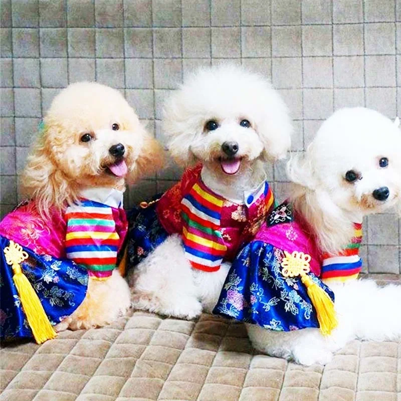 New Korean National Pet Clothing Traditional Embroidered Court Hanbok Summer Dog Clothes for Small Dogs Girl Boy Puppy Costume
New Korean National Pet Clothing Traditional Embroidered Court Hanbok Summer Dog Clothes for Small Dogs Girl Boy Puppy Costume