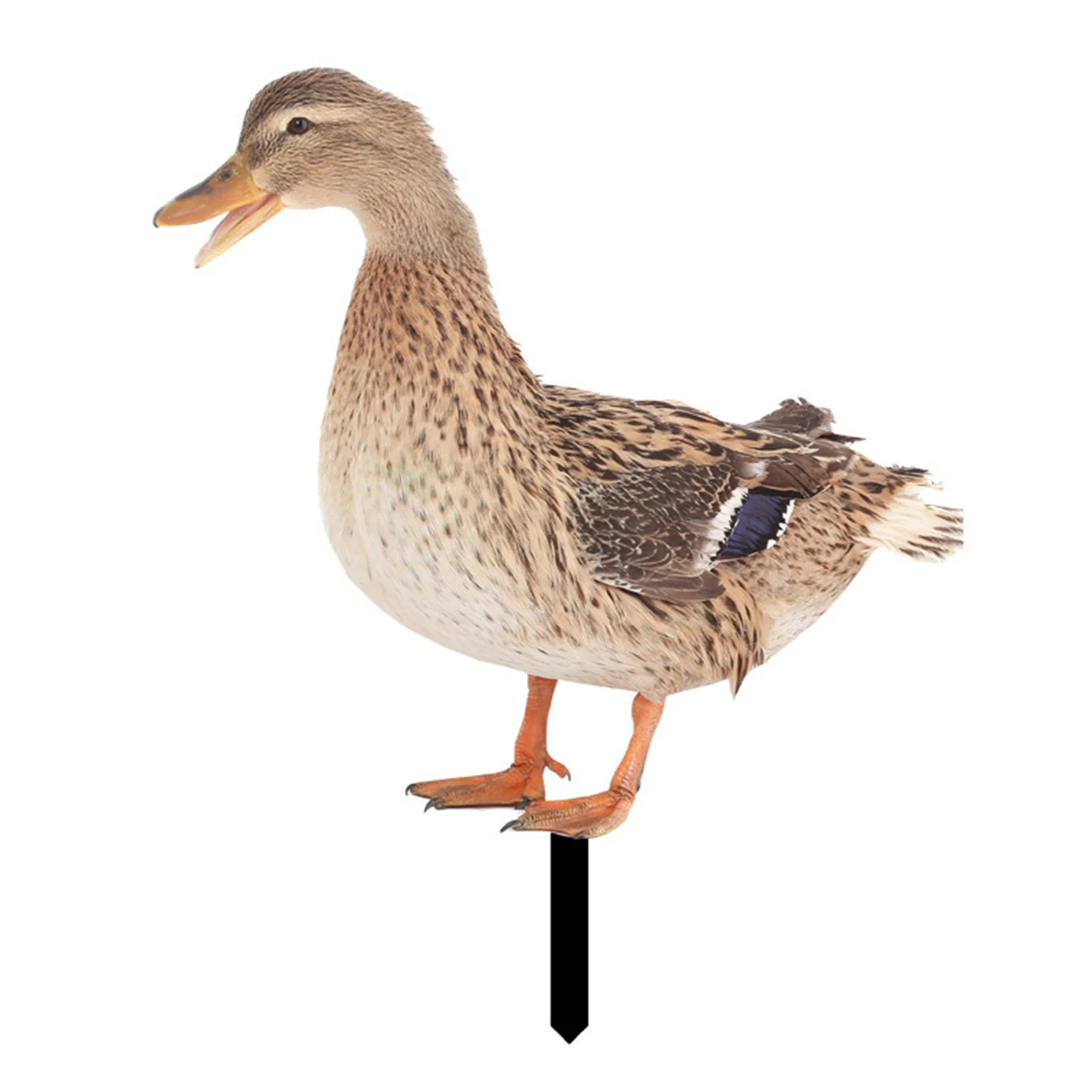 Acrylic Mirror Garden Statue Animals Figures Statue Decor Animals Stake Duck Farm Flower Pot Garden Decoration
Acrylic Mirror Garden Statue Animals Figures Statue Decor Animals Stake Duck Farm Flower Pot Garden Decoration