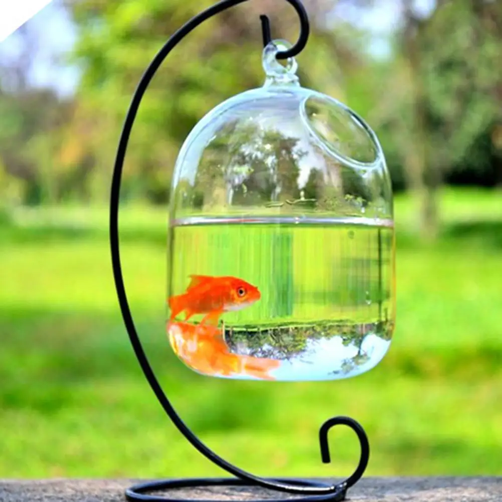 Home Ornament Durable Stainless Undeformable Decorative Vase Fishbowl for Yard Display Mold Vase Fishbowl
Home Ornament Durable Stainless Undeformable Decorative Vase Fishbowl for Yard Display Mold Vase Fishbowl