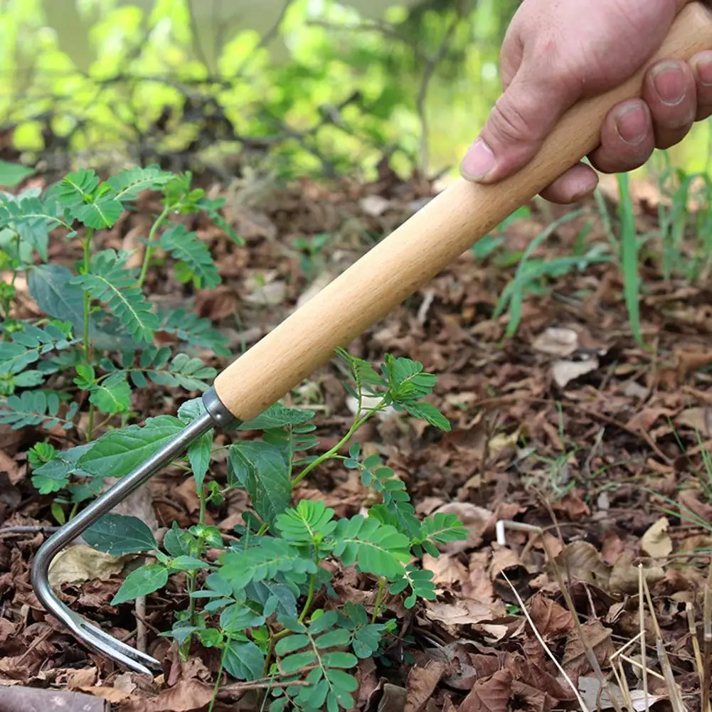 Long Wood Handle Stainless Steel Garden Weeder Hand Remover Tools Weed Puller Multifunction Weeder For Garden Yard Weed Rem N7X5 
Long Wood Handle Stainless Steel Garden Weeder Hand Remover Tools Weed Puller Multifunction Weeder For Garden Yard Weed Rem N7X5