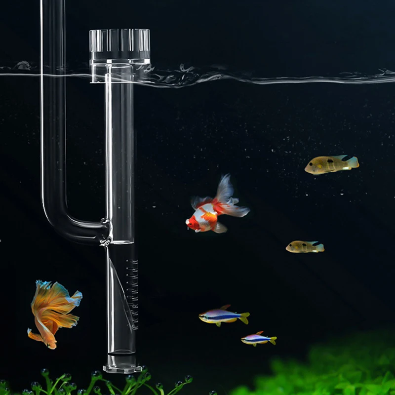 Mini Glass Lily Pipe Skimmer Aquarium Planted Surface Inflow Outflow Filter System Aquarium Fish Tank External Accessories
Mini Glass Lily Pipe Skimmer Aquarium Planted Surface Inflow Outflow Filter System Aquarium Fish Tank External Accessories