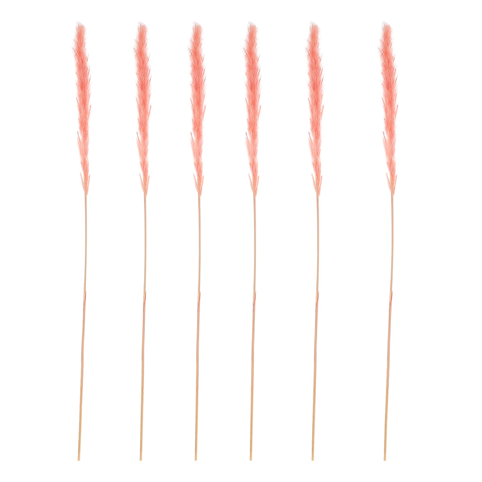 Reed Flowers Dried Flower Plumes Decor Home Decorative Wedding Dry Phragmites Communis Decoration Natural Pampas Vase
Reed Flowers Dried Flower Plumes Decor Home Decorative Wedding Dry Phragmites Communis Decoration Natural Pampas Vase