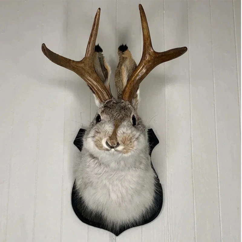 Cute Antlers Rabbit Head Statue Home Decor 3D Sculptures & Figurines Wall Hang Decoration Animal Statues Living Room Art Crafts
Cute Antlers Rabbit Head Statue Home Decor 3D Sculptures & Figurines Wall Hang Decoration Animal Statues Living Room Art Crafts