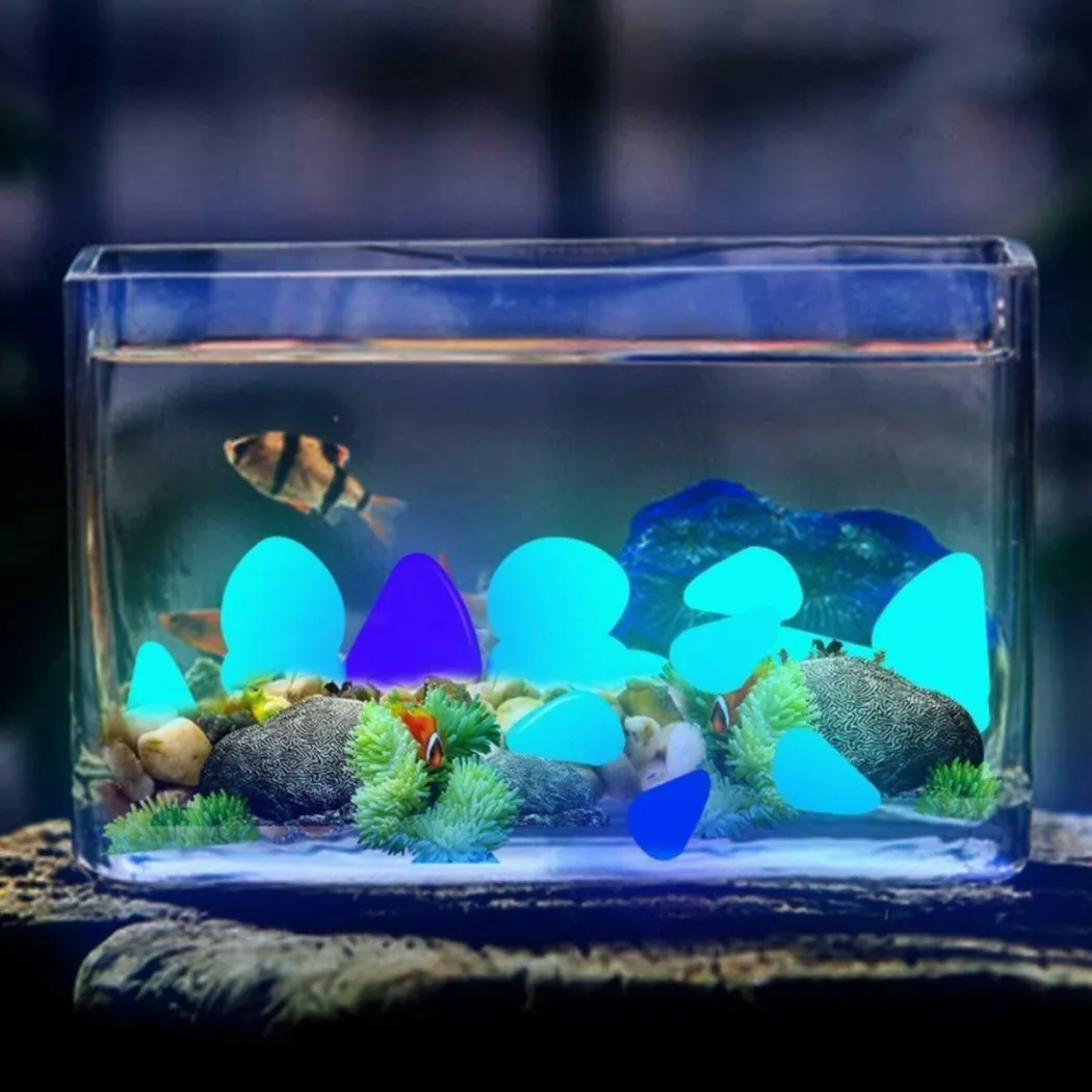 50/100 Pcs Glow In The Dark Garden Decor Luminous Stones Outdoor Fish Tank Decoration Pebble Rocks Aquarium Decorative Pebbles
50/100 Pcs Glow In The Dark Garden Decor Luminous Stones Outdoor Fish Tank Decoration Pebble Rocks Aquarium Decorative Pebbles