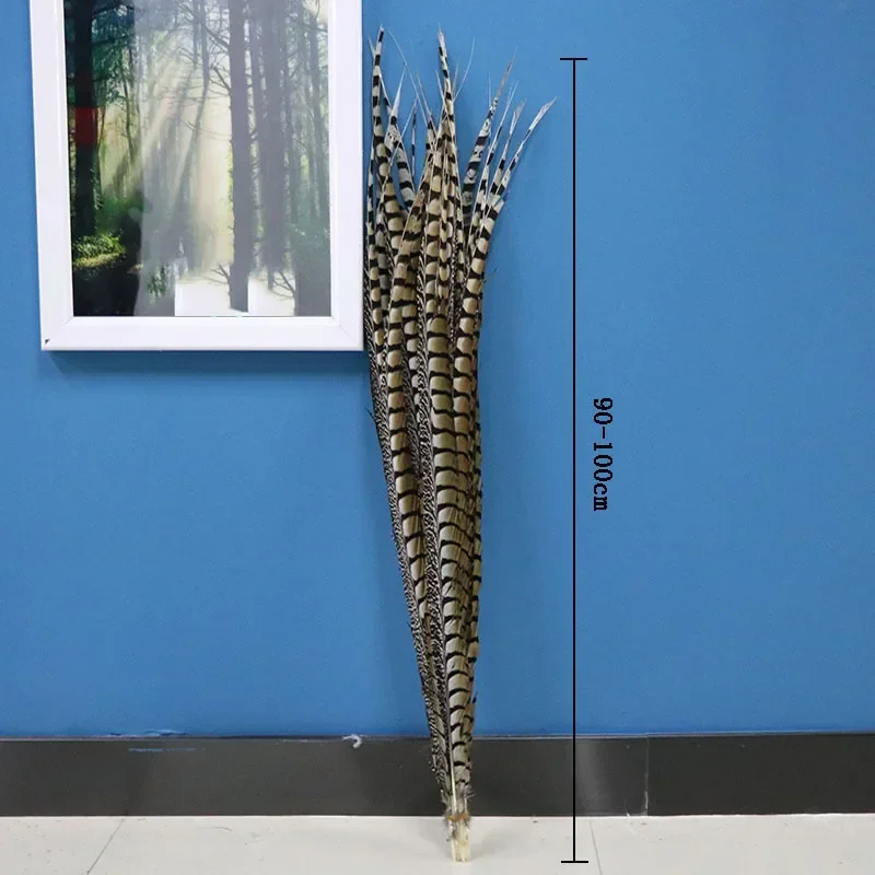 Natural Lady Amherst Pheasant tail Feathers for Crafts 36-40" 90-100cm Long Decor DIY Carnival Accessories Decoration plumas
Natural Lady Amherst Pheasant tail Feathers for Crafts 36-40" 90-100cm Long Decor DIY Carnival Accessories Decoration plumas