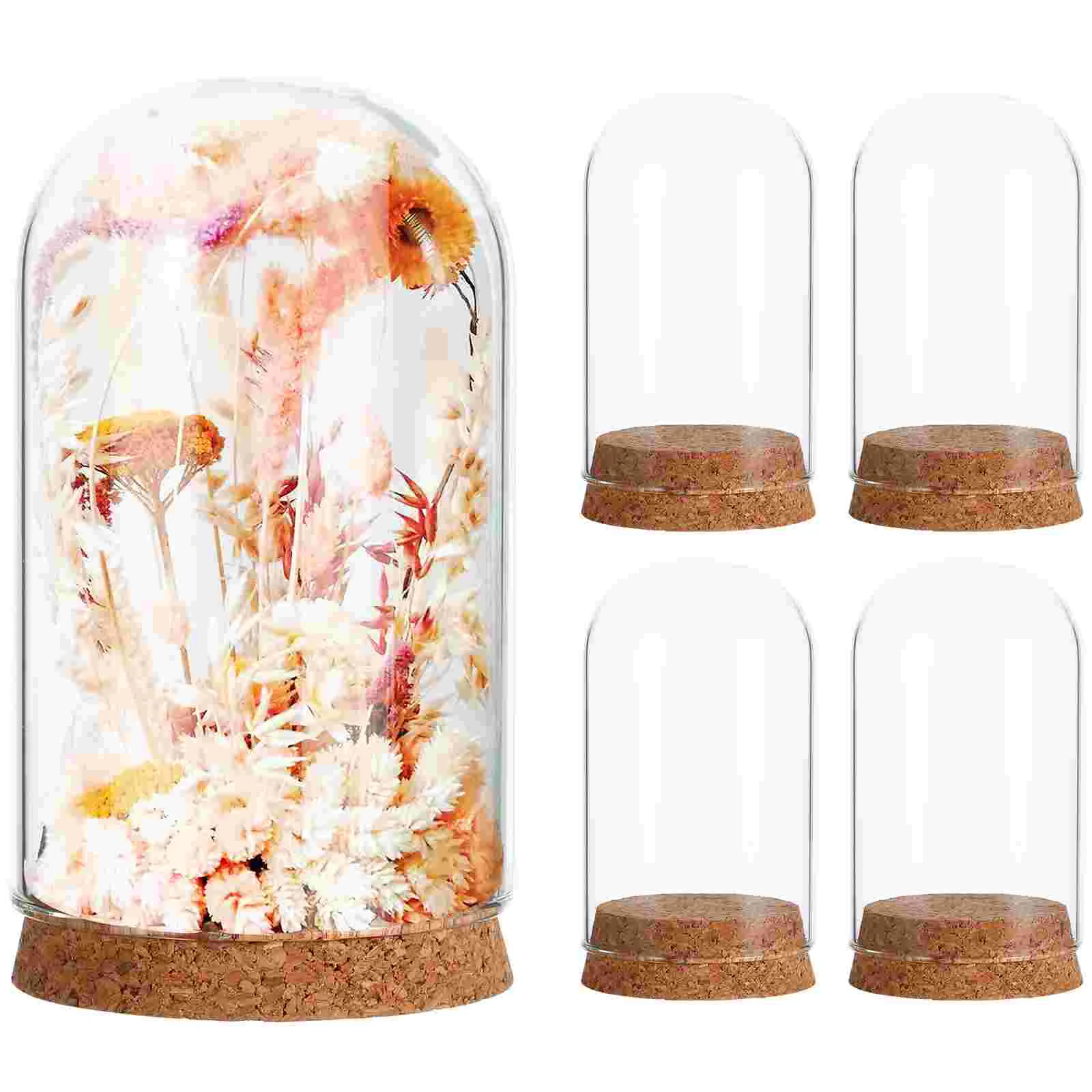 5 Pcs Cork Glass Cover Wood Cupcake Stands Dustproof Immortal Flower Ornaments Eternal
5 Pcs Cork Glass Cover Wood Cupcake Stands Dustproof Immortal Flower Ornaments Eternal