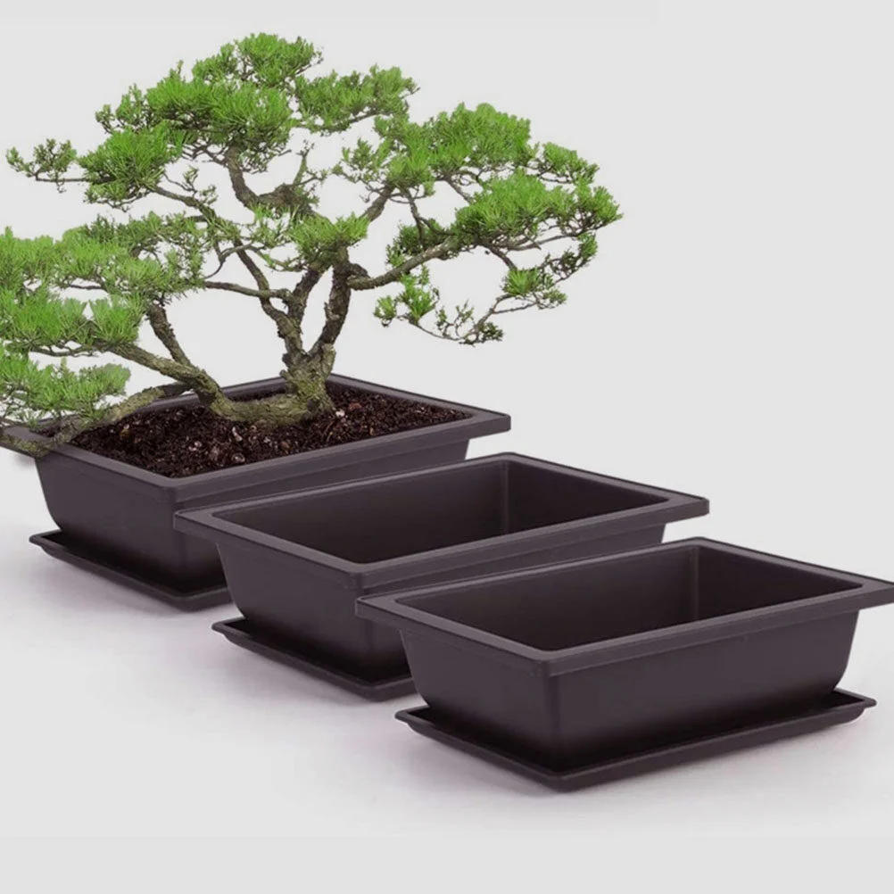 Africa Bonsai Flowerpot Household Rectangular Planter Ornament Gardening Container
Africa Bonsai Flowerpot Household Rectangular Planter Ornament Gardening Container