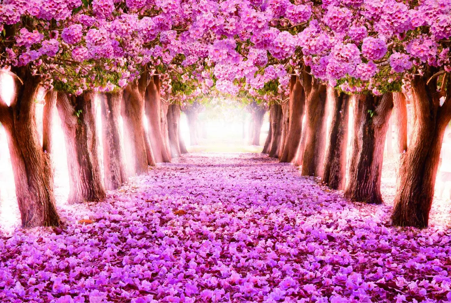 Jigsaw Puzzles Avenue of Cherry Blossoms Educational Games Puzzle Brain Challenge for Adults Kids wooden toys
Jigsaw Puzzles Avenue of Cherry Blossoms Educational Games Puzzle Brain Challenge for Adults Kids wooden toys