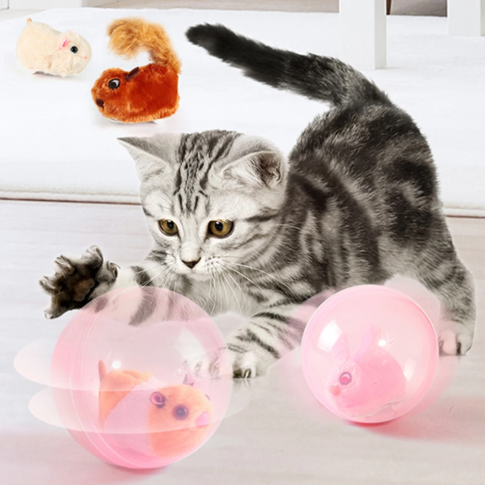 Funny Cat Teaser Interactive Electric Animal Ball Cat Toy Self-hey Interactive Toy Kitten Chase Toys Training Pet Supplies
Funny Cat Teaser Interactive Electric Animal Ball Cat Toy Self-hey Interactive Toy Kitten Chase Toys Training Pet Supplies