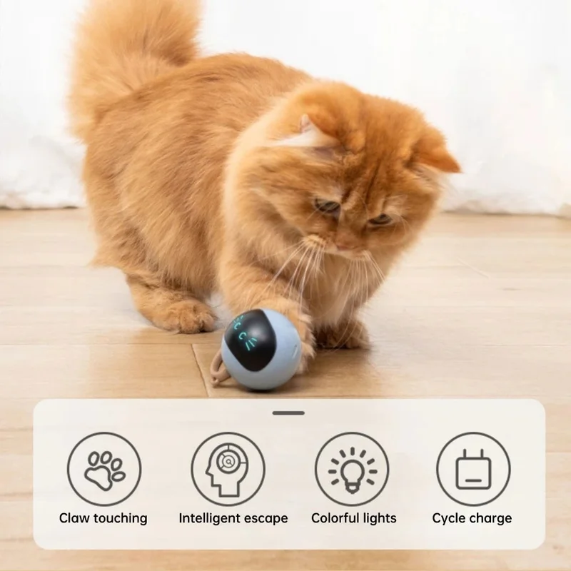 Automatic Cat Ball Toys Interactive Electric USB Rechargeable Smart Cat-friendly Toy Ball To Relieve Boredom Cat Toy Pets Toys
Automatic Cat Ball Toys Interactive Electric USB Rechargeable Smart Cat-friendly Toy Ball To Relieve Boredom Cat Toy Pets Toys
