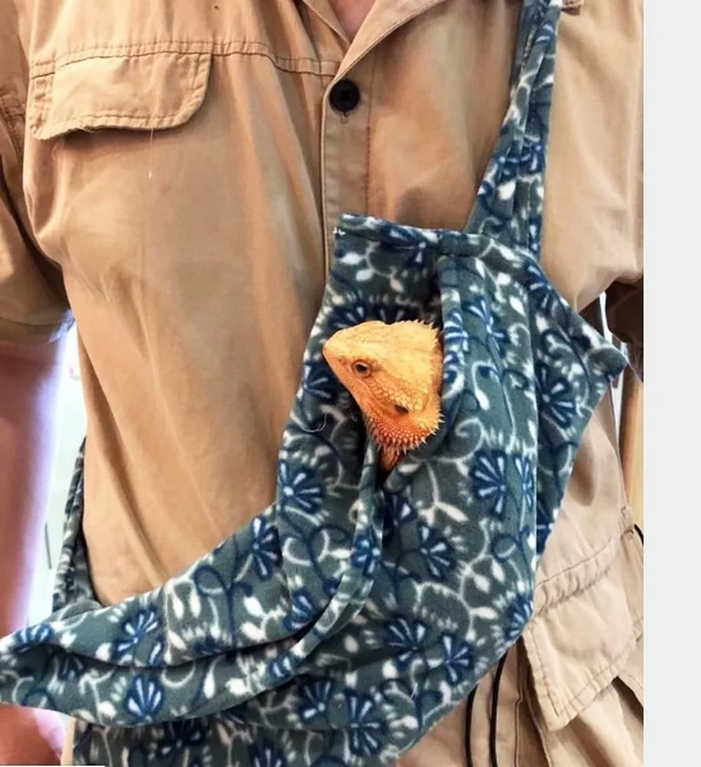 Lizard Travel BagShoulder BagChameleon Crawling Pet Supplies Outing Bag Pet Take-Out Travel Bag Pet Going Out Carrying Bag
Lizard Travel BagShoulder BagChameleon Crawling Pet Supplies Outing Bag Pet Take-Out Travel Bag Pet Going Out Carrying Bag