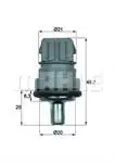 Store code: TSE1D for the temperature of TSE1D (green) IBIZA III OCTAVIA BORA GOLF IV CADDY PASSAT POLO TRANSPORTER
Store code: TSE1D for the temperature of TSE1D (green) IBIZA III OCTAVIA BORA GOLF IV CADDY PASSAT POLO TRANSPORTER