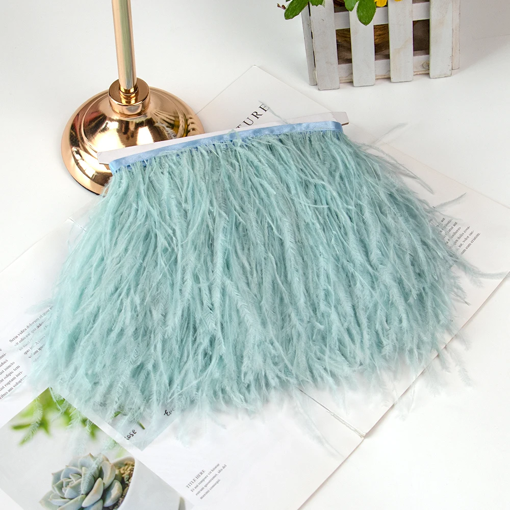 2-6meter Long Natural Ostrich Feather Trim 8-10CM Creative Feather Stripe Ribbon Wedding Dress Decoration Sewing Feather Crafts
2-6meter Long Natural Ostrich Feather Trim 8-10CM Creative Feather Stripe Ribbon Wedding Dress Decoration Sewing Feather Crafts