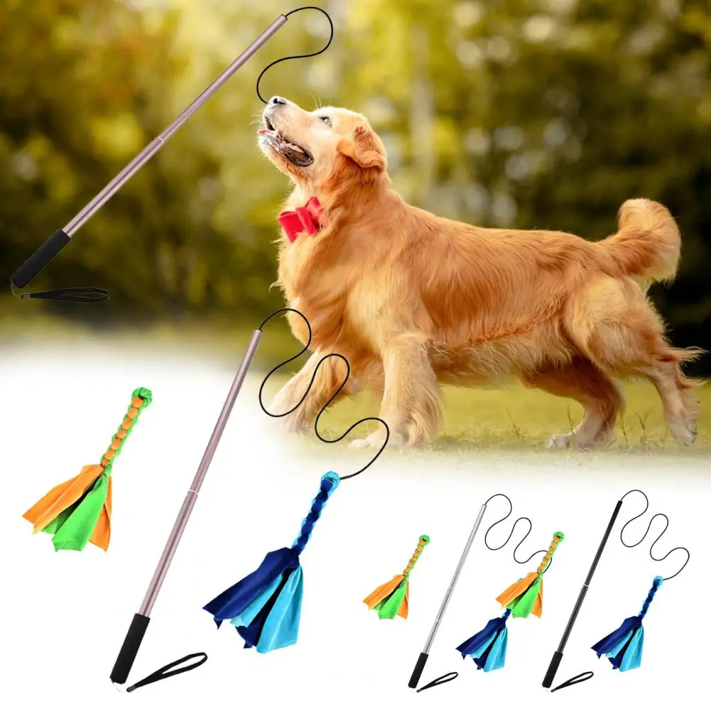 Multi-use Pet Exerciser Wand Colorful Comfortable to Grip Aluminum Alloy Dog Flirt Pole Interactive Play
Multi-use Pet Exerciser Wand Colorful Comfortable to Grip Aluminum Alloy Dog Flirt Pole Interactive Play