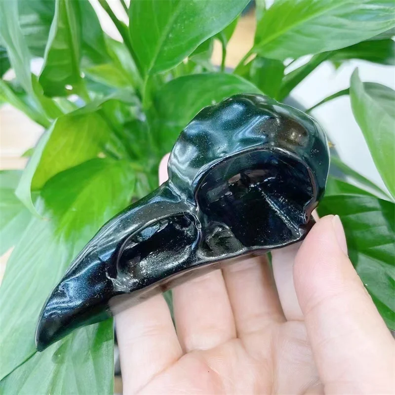 10cm Natural Black Obsidian Crystal Bird Skulls Carving Mineral Animal Statue Room Decoration 1pcs
10cm Natural Black Obsidian Crystal Bird Skulls Carving Mineral Animal Statue Room Decoration 1pcs