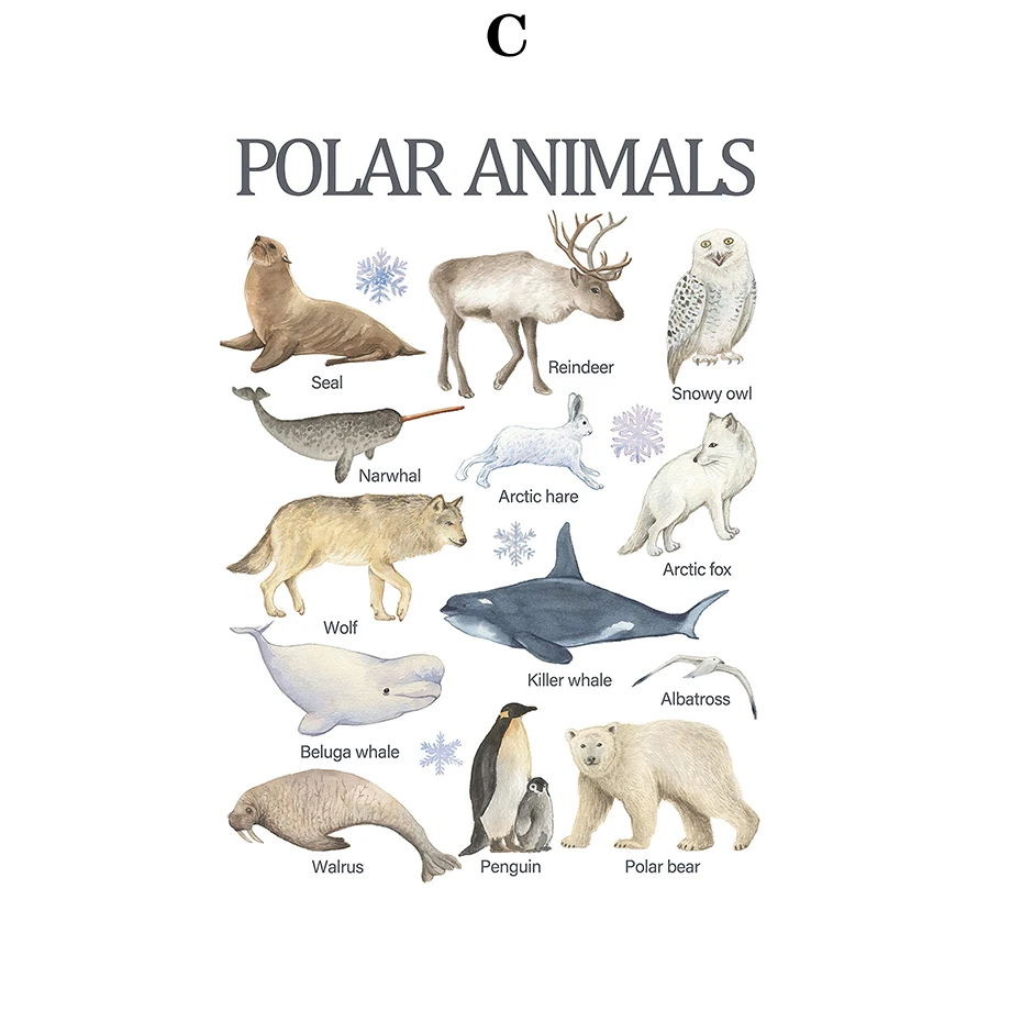 Настенный плакат "Динозавр алфавит"
Настенный плакат "Динозавр алфавит"