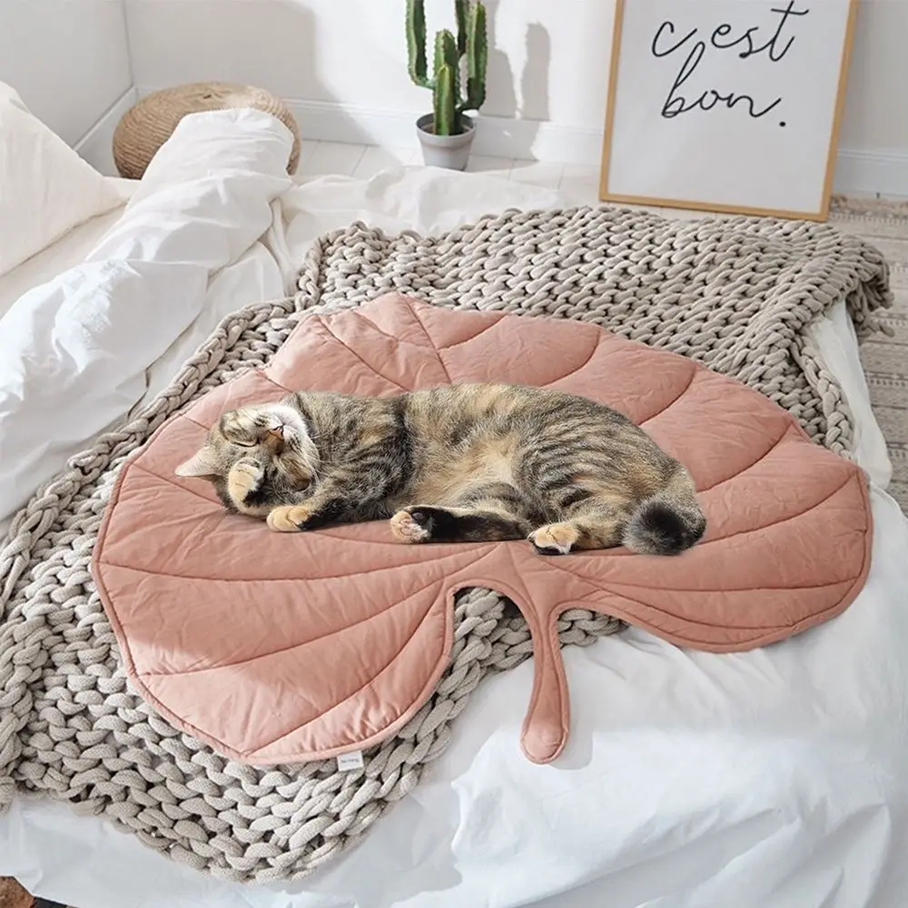 Pet Leaf Shape Bed Fashion Creativity Heart-shaped Blanket Carpet Summer for Children and Cat Dogs Mat Comfort Home Decor Kennel
Pet Leaf Shape Bed Fashion Creativity Heart-shaped Blanket Carpet Summer for Children and Cat Dogs Mat Comfort Home Decor Kennel