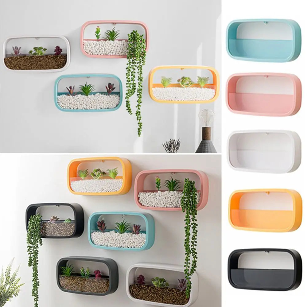 Creative Wall Mounted Plant Container Home Succulent Box Hanging Planter Plant Pots Flower Pot
Creative Wall Mounted Plant Container Home Succulent Box Hanging Planter Plant Pots Flower Pot