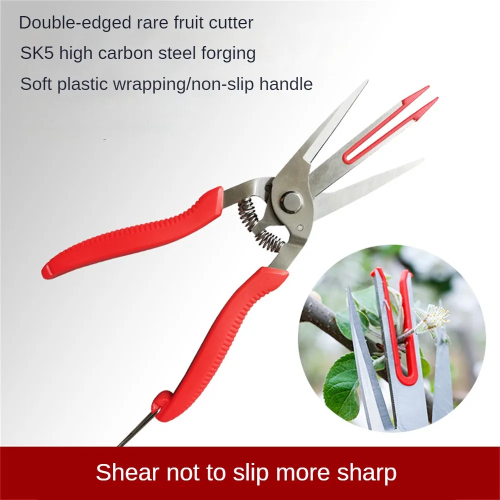 Fruit Picking Scissors Garden Tools Double-edged Apple Picking Scissors Kiwi Pear Thinning Scissors Yangjiang Double Mouth Thin
Fruit Picking Scissors Garden Tools Double-edged Apple Picking Scissors Kiwi Pear Thinning Scissors Yangjiang Double Mouth Thin