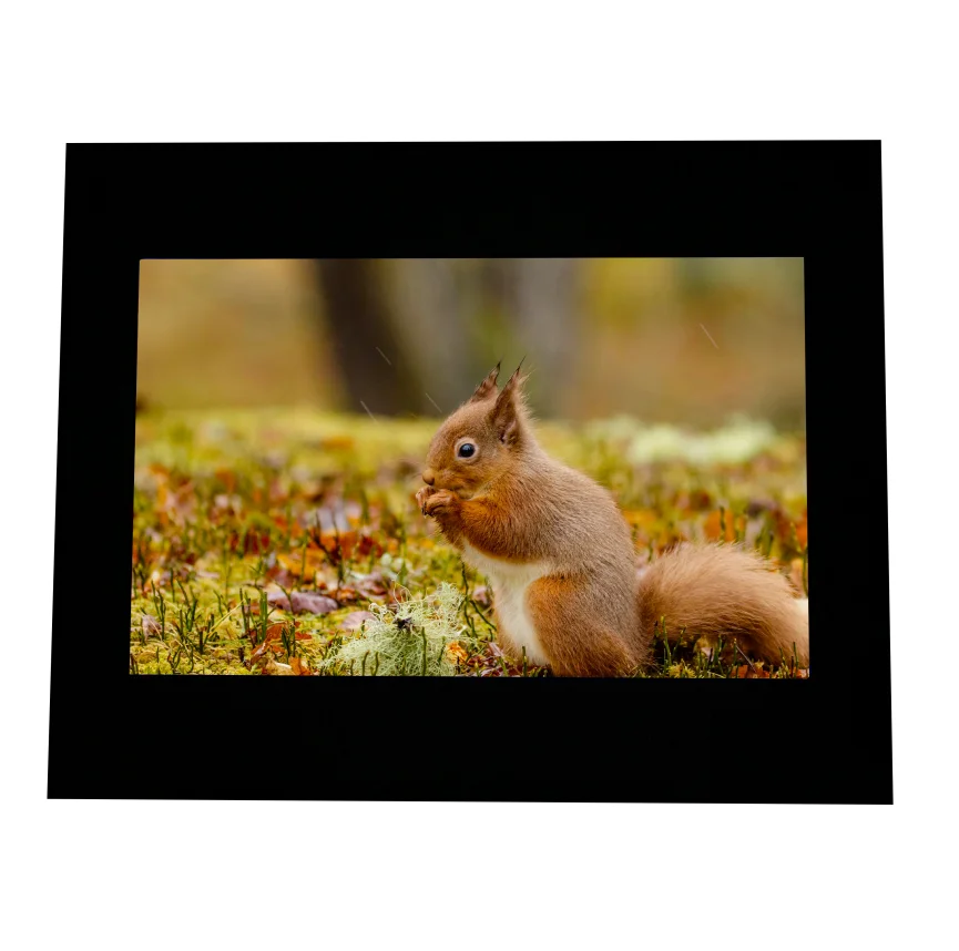 22 inch game touch screen monitors pot o gold touch monitor
22 inch game touch screen monitors pot o gold touch monitor