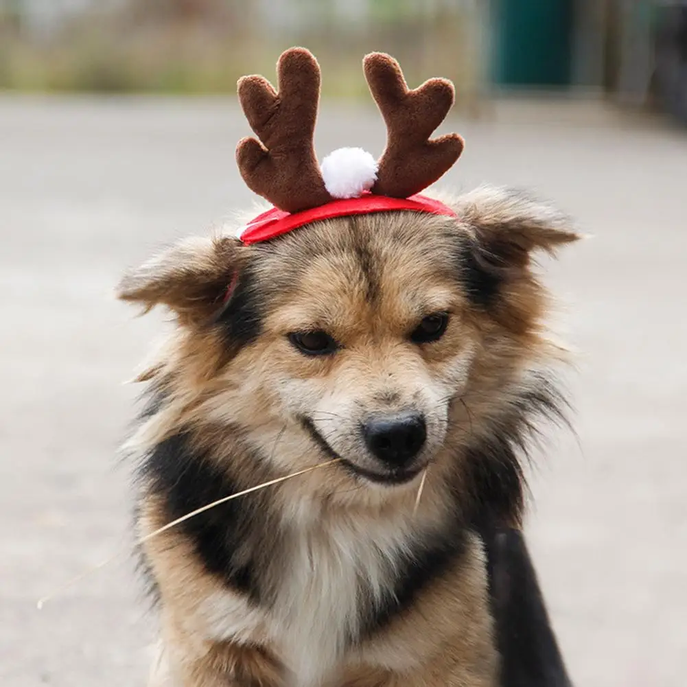 2023 Pet Christmas Antlers Headband Fashion Creative Adjustable Cat Dog Headwear Pet Supplies For Dogs Cats
2023 Pet Christmas Antlers Headband Fashion Creative Adjustable Cat Dog Headwear Pet Supplies For Dogs Cats