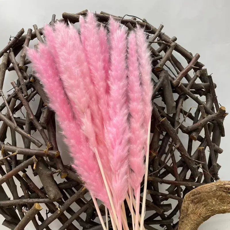 

15 Pcs Dried Flower Small Reed Eternal Flower Pampas Grass Wedding Decor Flower Artificial Flowers For Decoration Christmas