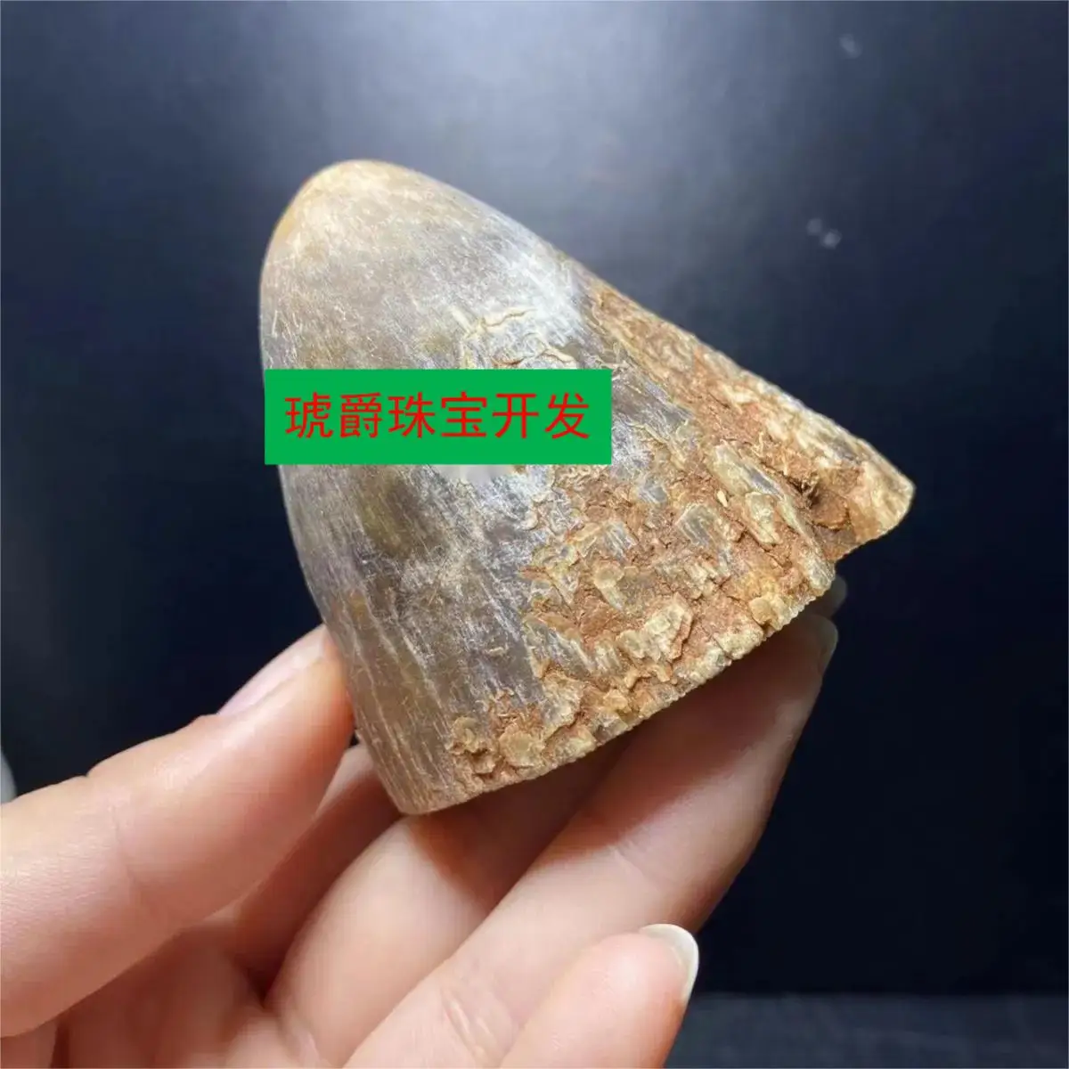 Natural Woolly Rhinoceros Whole Horn High-End Horn Ornaments Health Grinding Powder Into Medicine To Play Both Fish Seed Grain
Natural Woolly Rhinoceros Whole Horn High-End Horn Ornaments Health Grinding Powder Into Medicine To Play Both Fish Seed Grain