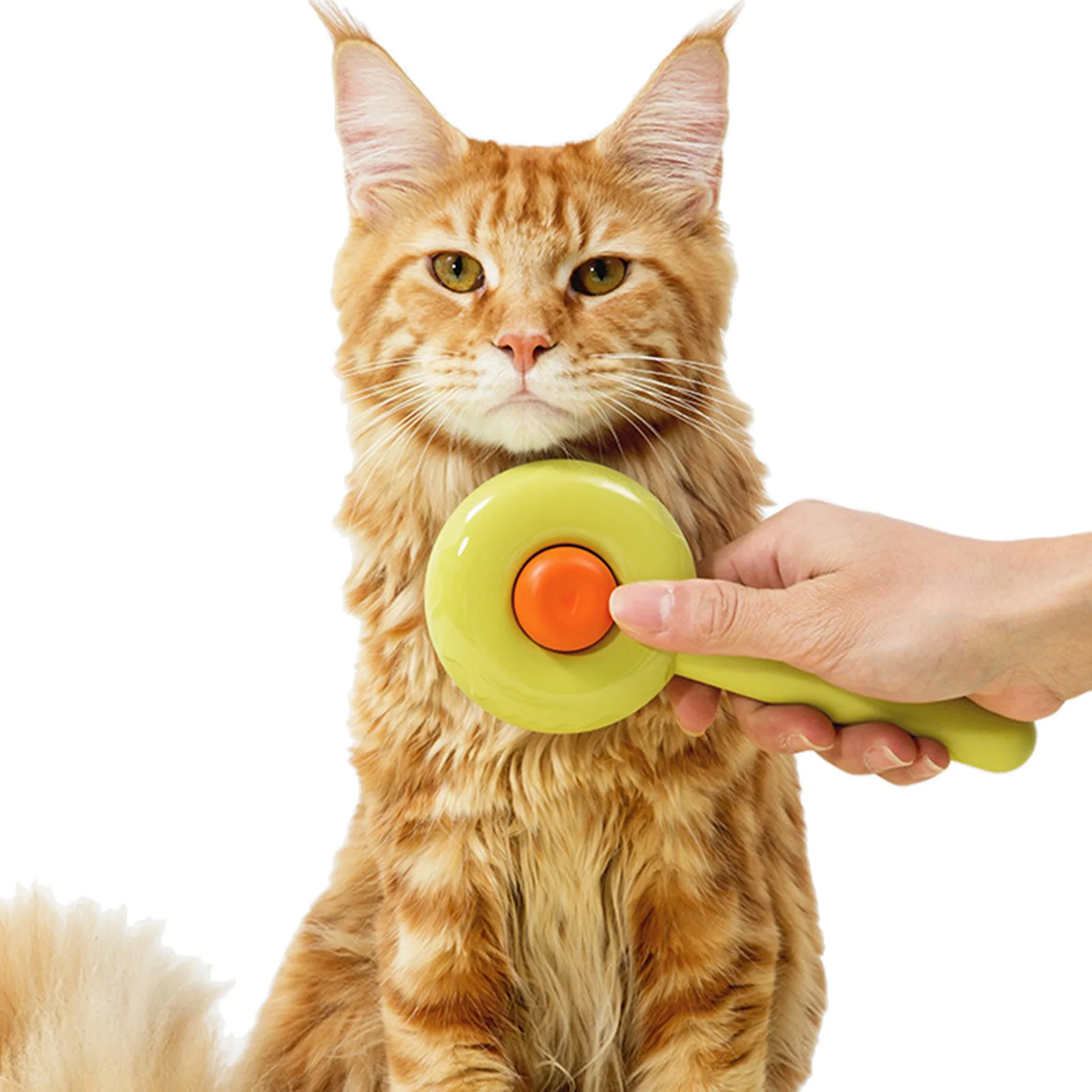 Щетка для груминга кошек и собак, эффективное удаление и дематирование шерсти у домашних животных
Щетка для груминга кошек и собак, эффективное удаление и дематирование шерсти у домашних животных