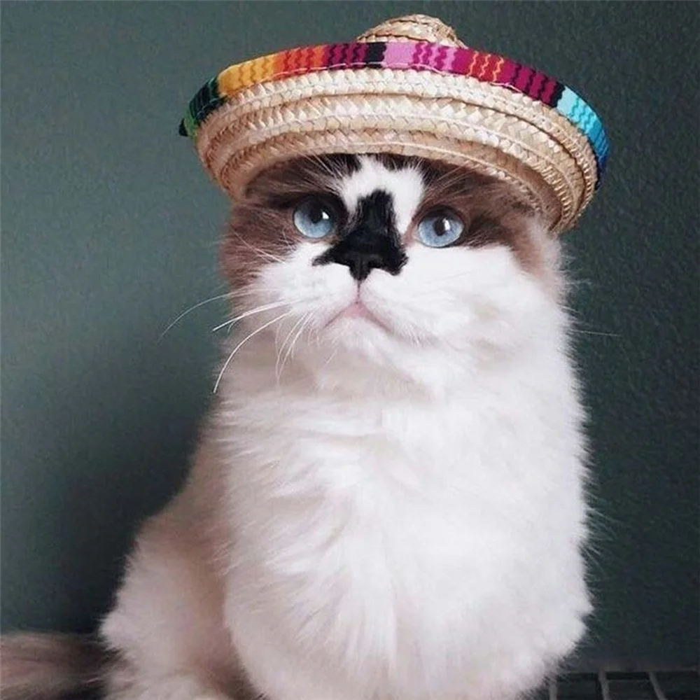 New Fashion Straw Hat Mexican Pet Hat Adjustable Button Multi-color Dog and Cat Accessories Shade Hat Hats for Cats
New Fashion Straw Hat Mexican Pet Hat Adjustable Button Multi-color Dog and Cat Accessories Shade Hat Hats for Cats