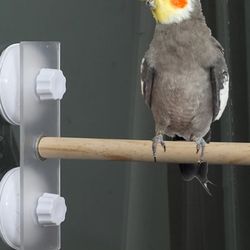 Parrot Playground Bird Standing Stick With Suction Cup Branch Perches Bird Cage Stand Parrots Accessories Bird Toys For Parrots
Parrot Playground Bird Standing Stick With Suction Cup Branch Perches Bird Cage Stand Parrots Accessories Bird Toys For Parrots