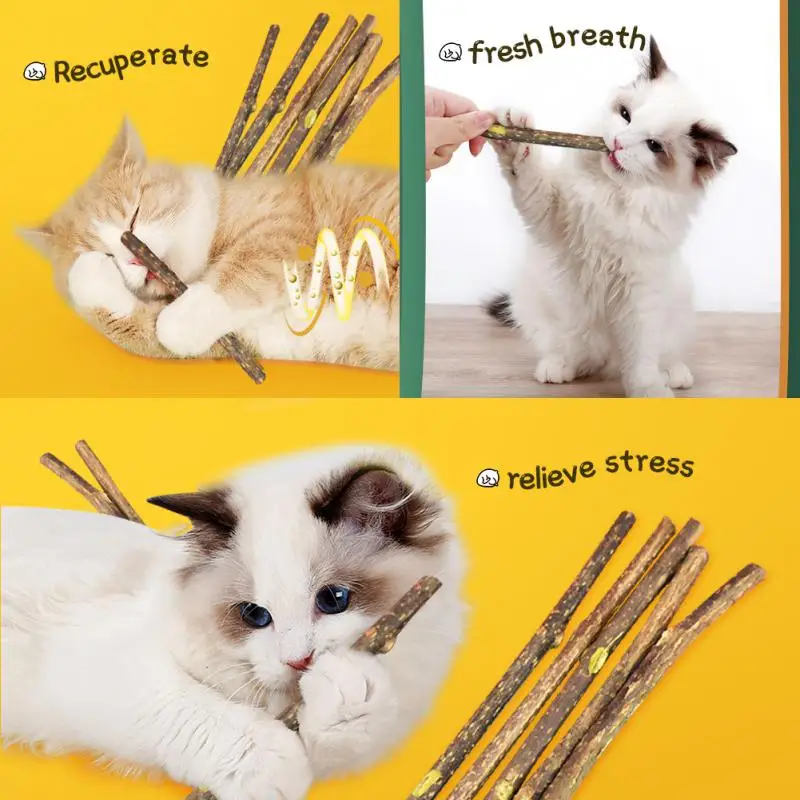 2/4/5PCS No Additives Cat Molar Stick Funny Cat Toy Clean Teeth Cat Cleaning Teeth Improve Appetite Cat Chew Stickcat Treats
2/4/5PCS No Additives Cat Molar Stick Funny Cat Toy Clean Teeth Cat Cleaning Teeth Improve Appetite Cat Chew Stickcat Treats