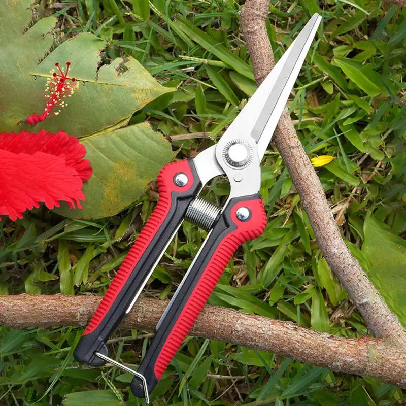 

Strong Scissors High Carbon Steel Gardening Scissors Comfortable Grip Picking Fruit Pruning Branches And Leaves Trim Tool Tpr