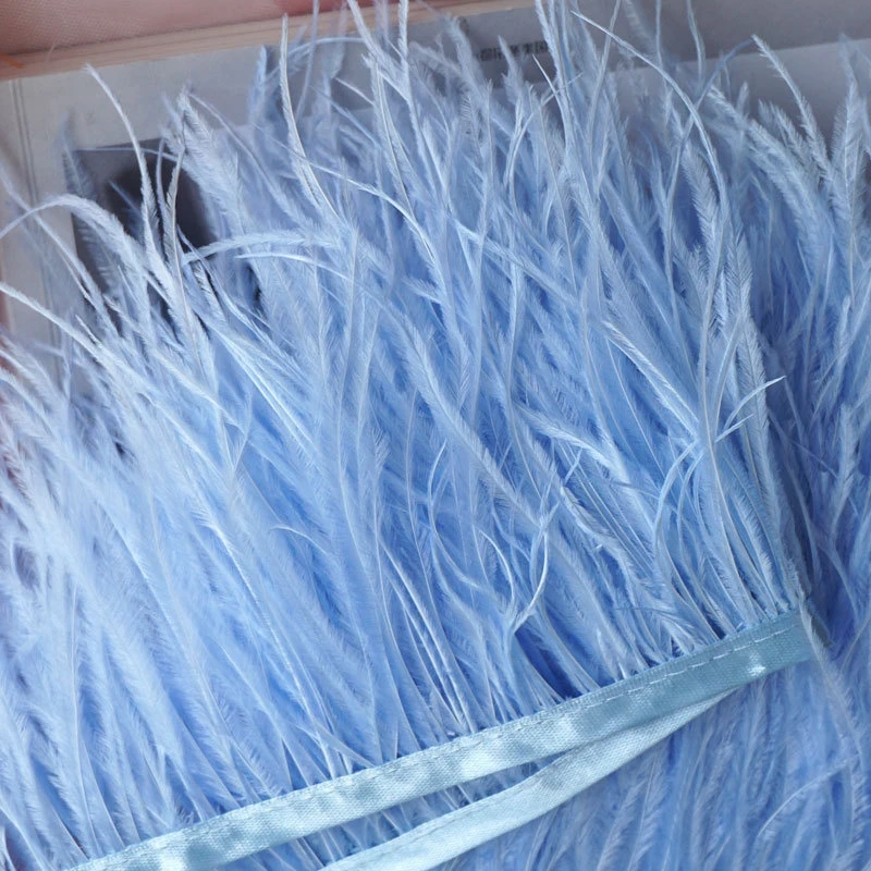 10Meter Multicolor Real Ostrich Feather Trims 8-10cm Ostrich Plumas Ribbon for Dress Clothing Decoration Sewing Feathers Crafts
10Meter Multicolor Real Ostrich Feather Trims 8-10cm Ostrich Plumas Ribbon for Dress Clothing Decoration Sewing Feathers Crafts