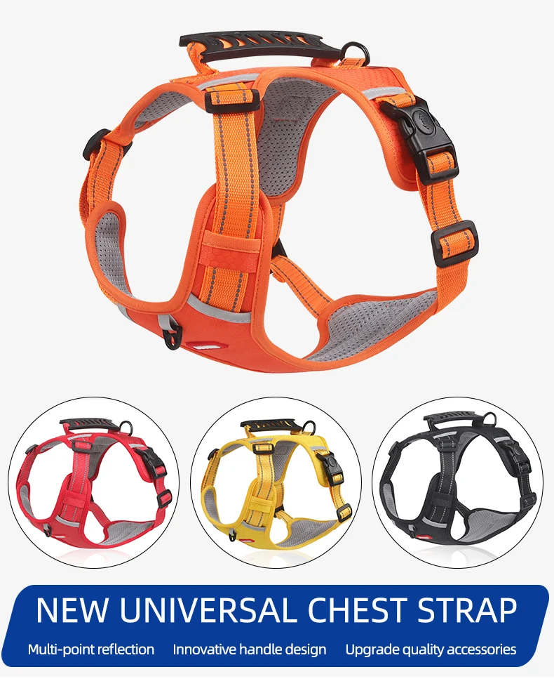 Pet Oxford cloth buckle safety chest strap explosion-proof impact control behavior Big dog wear-resistant chest back reflective
Pet Oxford cloth buckle safety chest strap explosion-proof impact control behavior Big dog wear-resistant chest back reflective