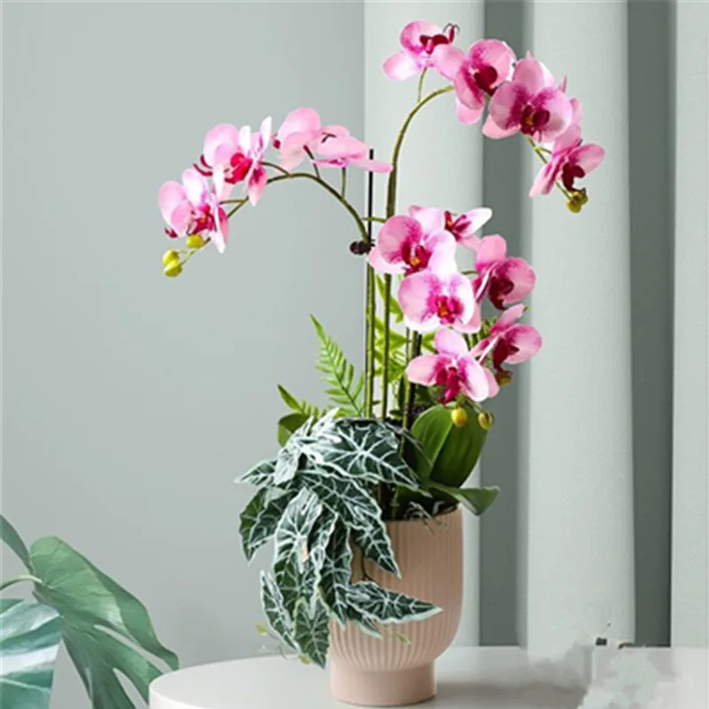 Purple Phalaenopsis Orchid 3D Real Touch Butterfly Flower Artificial Flower Wedding Orchid Floral Home Decoration Party - INDIGO
Purple Phalaenopsis Orchid 3D Real Touch Butterfly Flower Artificial Flower Wedding Orchid Floral Home Decoration Party - INDIGO