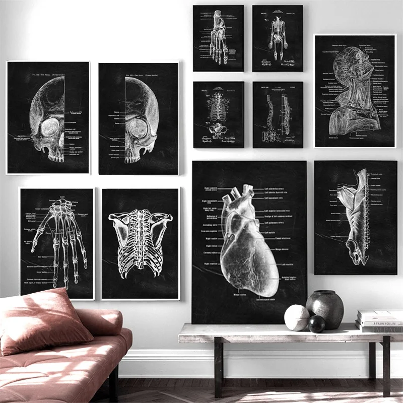 Muscle Wall Art Heart Anatomy Skeleton Canvas Painting Nordic Posters and Prints Room Pictures for Doctor Office Decor Cuadros
Muscle Wall Art Heart Anatomy Skeleton Canvas Painting Nordic Posters and Prints Room Pictures for Doctor Office Decor Cuadros
