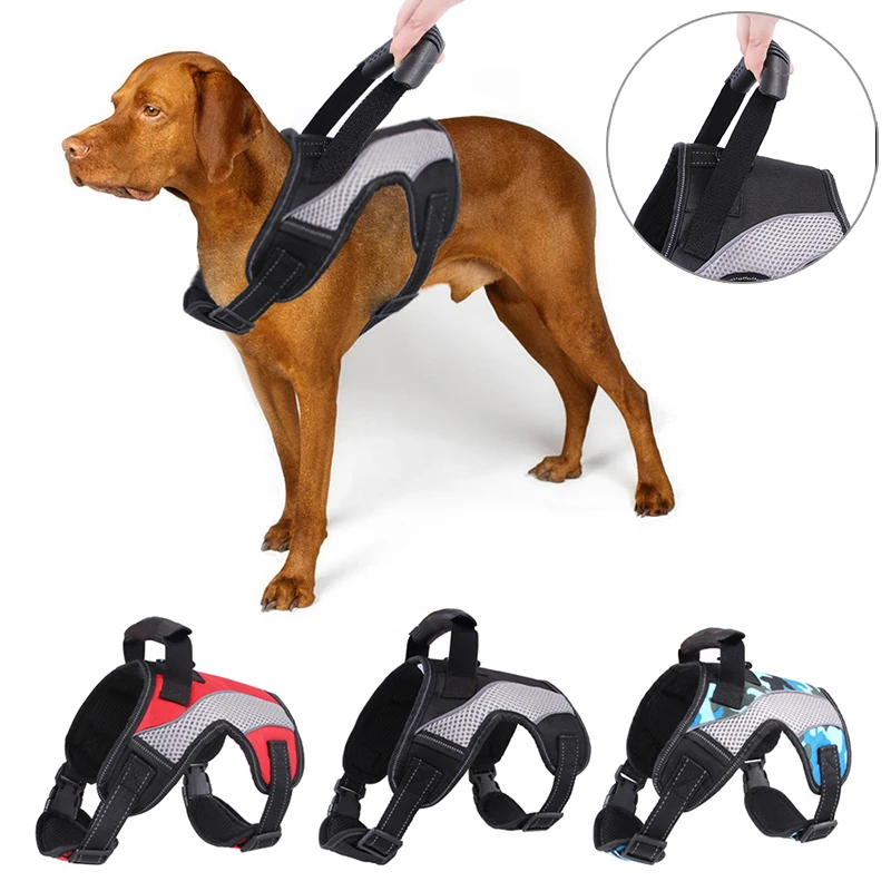 Шлейка-жилетка для собак и кошек, светоотражающая подкладка с ручкой, не тянется, для прогулок
Шлейка-жилетка для собак и кошек, светоотражающая подкладка с ручкой, не тянется, для прогулок