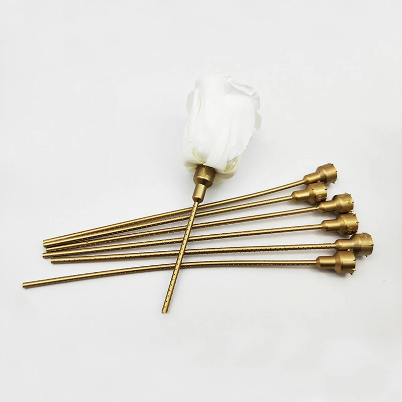 100pcs/bag 20cm Factory Wholesale Gold Silver Green DIY Flower Plastic Stems for Preserved Roses Fall Decor Christmas Decoration
100pcs/bag 20cm Factory Wholesale Gold Silver Green DIY Flower Plastic Stems for Preserved Roses Fall Decor Christmas Decoration
