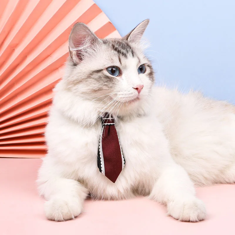 Ins Style Pet Dog Cat Collars Delicate Safety Casual Gentle Dog Collar Neck Strap Fashion Adjustable Pet Cat Dog Collar Holiday
Ins Style Pet Dog Cat Collars Delicate Safety Casual Gentle Dog Collar Neck Strap Fashion Adjustable Pet Cat Dog Collar Holiday