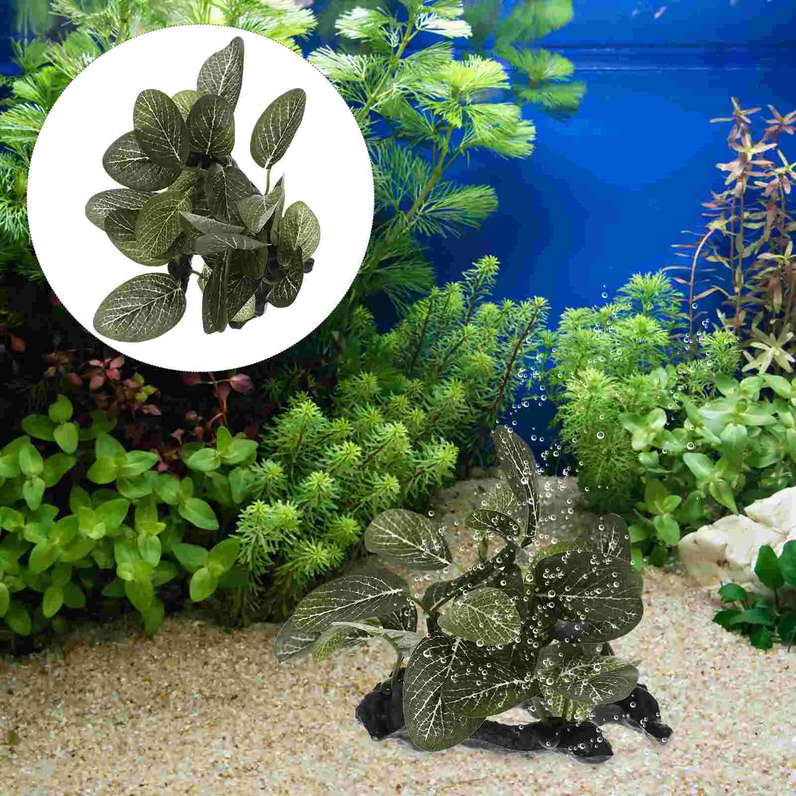 Aquarium Decortankfakesupplies Delicate Desktop Realistic Compact Householddecorative Snake Branch Accessory Reptile Habitat
Aquarium Decortankfakesupplies Delicate Desktop Realistic Compact Householddecorative Snake Branch Accessory Reptile Habitat