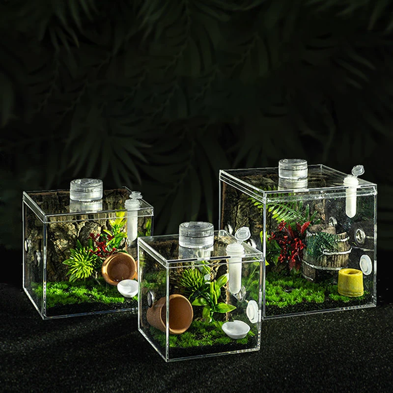 Acrylic Singing Insect Breeding Box For Insect Jumping Spider Small Reptile Clear Ecological Breeding Box Landscaping Décor
Acrylic Singing Insect Breeding Box For Insect Jumping Spider Small Reptile Clear Ecological Breeding Box Landscaping Décor