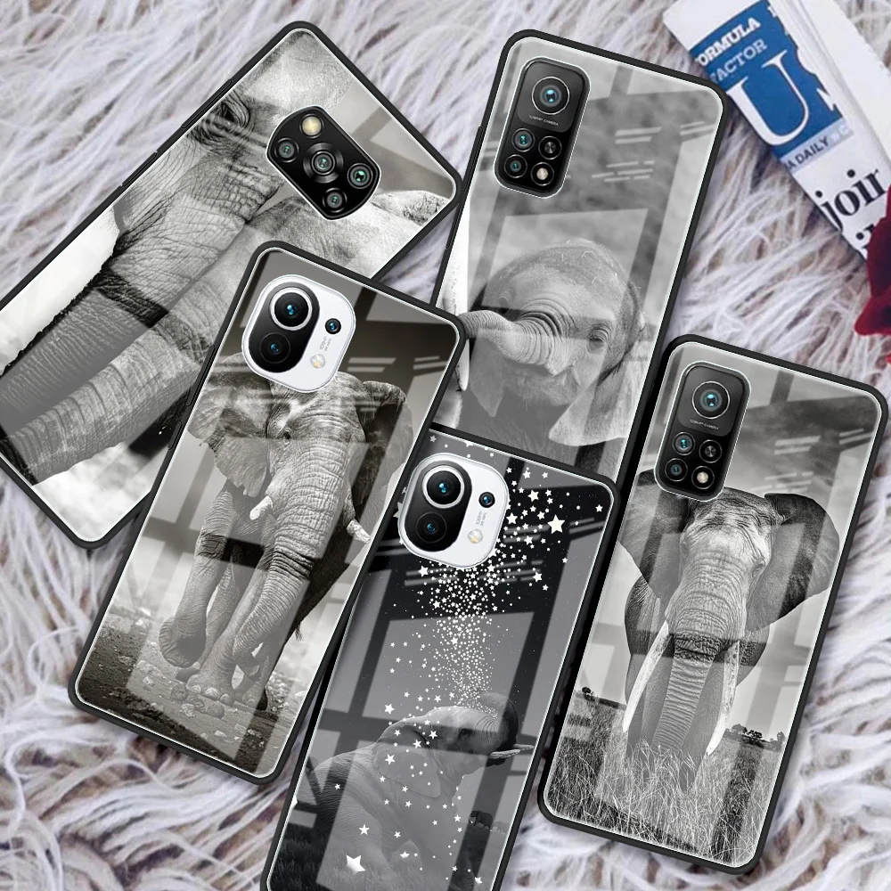 Glass Funda Cases for Xiaomi Redmi Note 10 Pro 9S 8 9 Hard Phone Casing Poco X3 NFC 11 Lite 10T 9T Cover Indian Animal Elephant
Glass Funda Cases for Xiaomi Redmi Note 10 Pro 9S 8 9 Hard Phone Casing Poco X3 NFC 11 Lite 10T 9T Cover Indian Animal Elephant