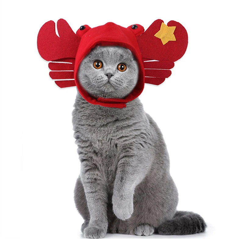 Pet Cat Hat Teddy Dress Up Crab Headgear New Style Cat Hat Dress Dress Up Cute Cat Headgear Small Dog Pet Cat Supplies Cute Caps
Pet Cat Hat Teddy Dress Up Crab Headgear New Style Cat Hat Dress Dress Up Cute Cat Headgear Small Dog Pet Cat Supplies Cute Caps