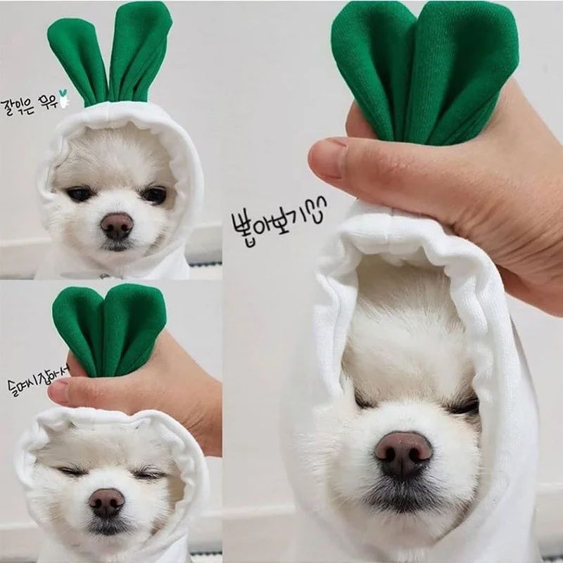 одежда для собак Small Dog Hoodie Warm Fleece Pet Clothing Puppy Cat Clothing Coat French Chihuahua Jacket Set
одежда для собак Small Dog Hoodie Warm Fleece Pet Clothing Puppy Cat Clothing Coat French Chihuahua Jacket Set