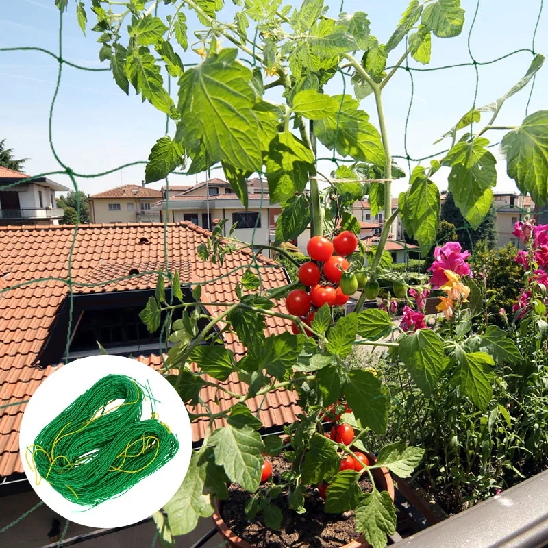 Plant Trellis Netting Plant Support Vine Climbing Cucumber Loofah Hydroponics Garden Net Outdoor Accessories Multi Use
Plant Trellis Netting Plant Support Vine Climbing Cucumber Loofah Hydroponics Garden Net Outdoor Accessories Multi Use