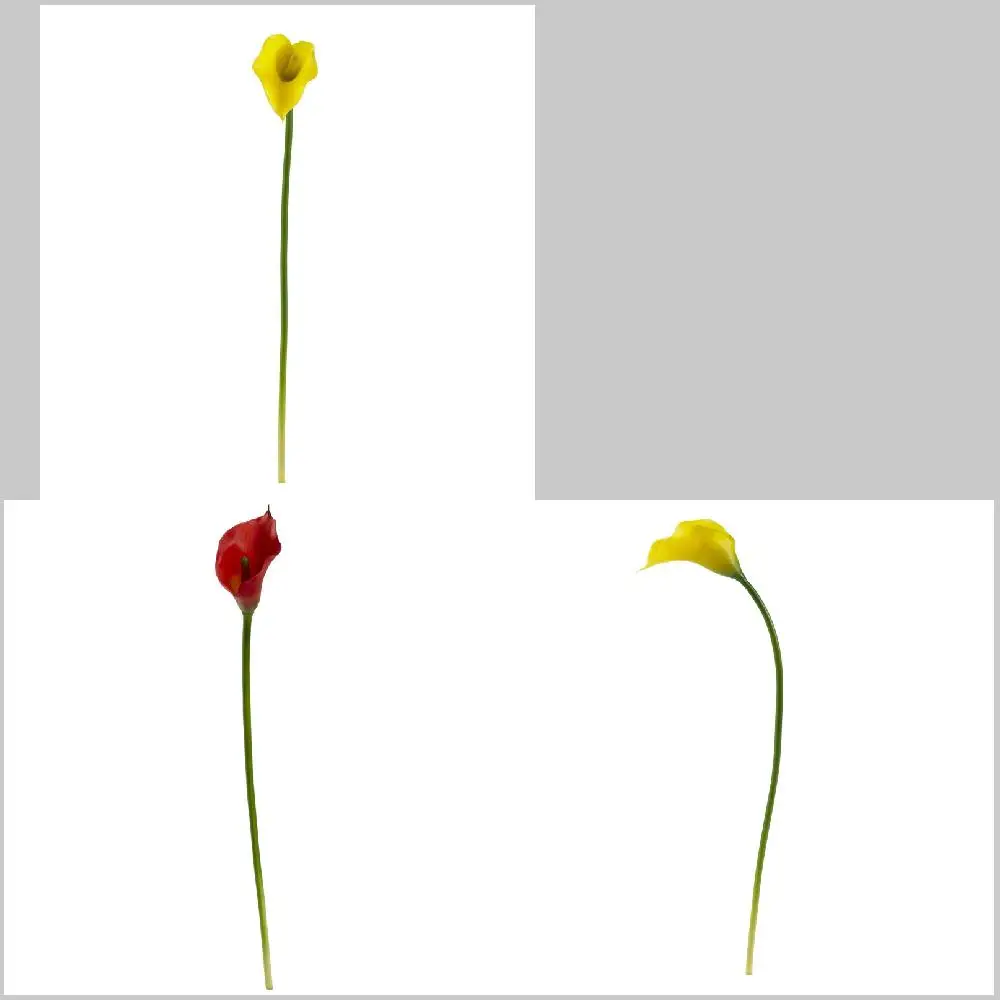 Expressive and Natural Looking "Expressive and Natural Looking Calla Lily Artificial Flower Set of 12, Red"
Expressive and Natural Looking "Expressive and Natural Looking Calla Lily Artificial Flower Set of 12, Red"