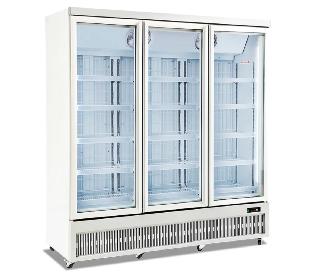 cold drink chiller display cooler supermarket commercial fridge side-by-side refrigerators showcase 
cold drink chiller display cooler supermarket commercial fridge side-by-side refrigerators showcase